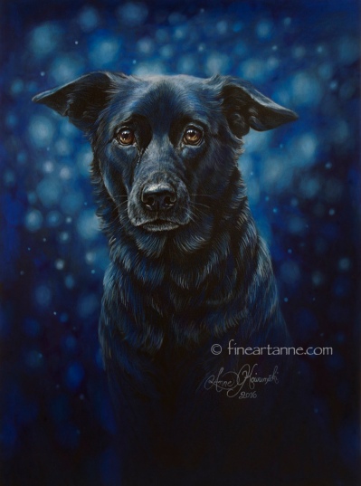 Black Dog Portrait