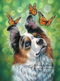 Dog With Butterflies