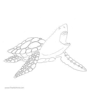Free coloring picture Shark + turtle| Shartle